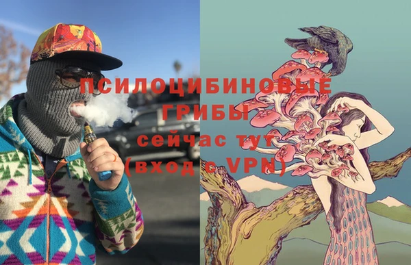 трава Киренск