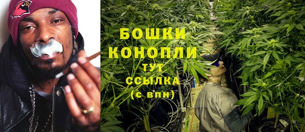 трава Киренск