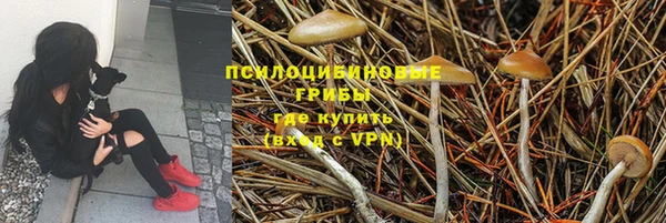 не бодяженный Кинешма
