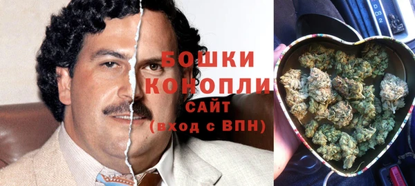 сатива Карпинск