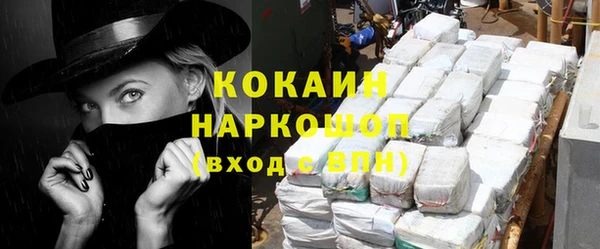 сатива Карпинск