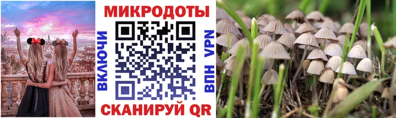 Галлюциногенные грибы MAGIC MUSHROOMS  Купить закладки  Спасск 